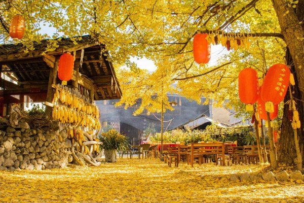 十一月份适合去哪里旅游国内