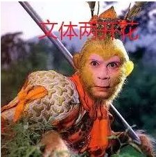 文体两开花是什么梗？