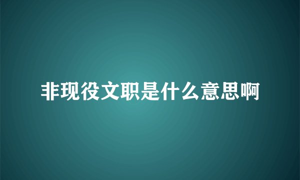 非现役文职是什么意思啊
