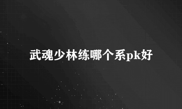 武魂少林练哪个系pk好