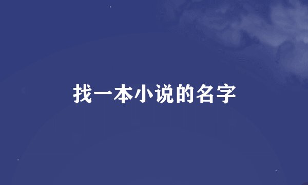 找一本小说的名字