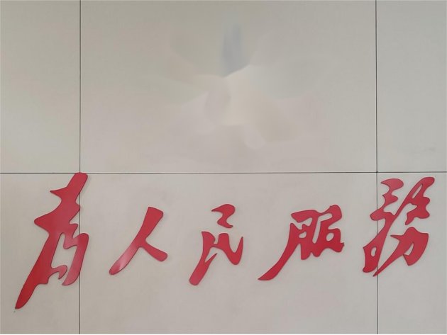 检视发挥先锋模范作用方面存在的问题