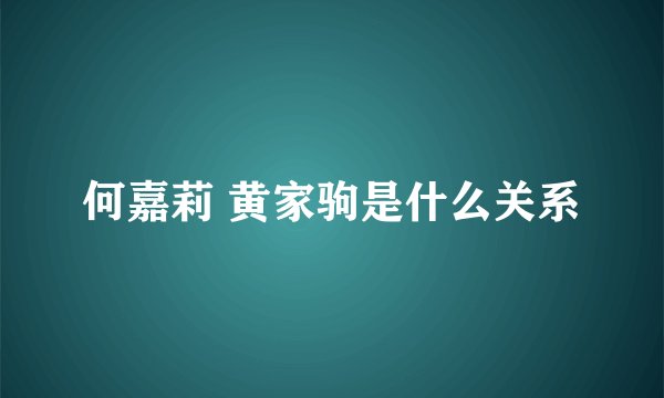 何嘉莉 黄家驹是什么关系
