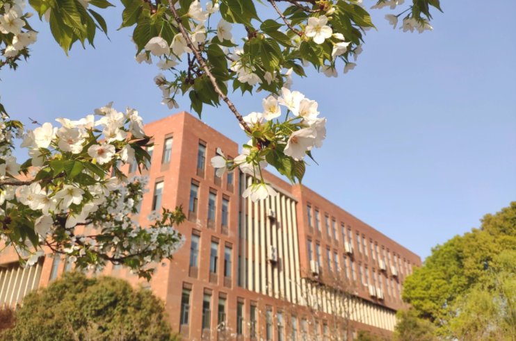 武汉城市学院怎么样