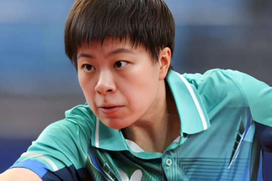 乒乓球王艺迪个人资料简介