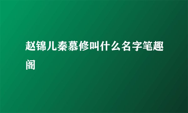 赵锦儿秦慕修叫什么名字笔趣阁