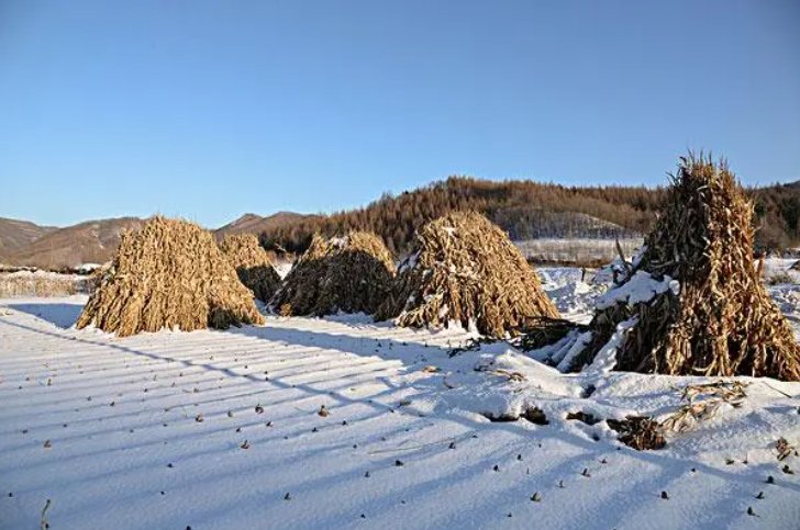 尤其的意思和造句