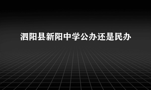 泗阳县新阳中学公办还是民办