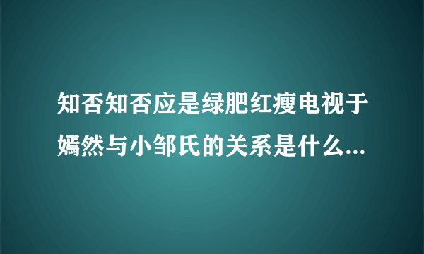 知否知否应是绿肥红瘦电视于嫣然与小邹氏的关系是什么呢，感谢各位😊