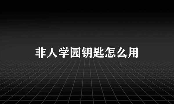 非人学园钥匙怎么用