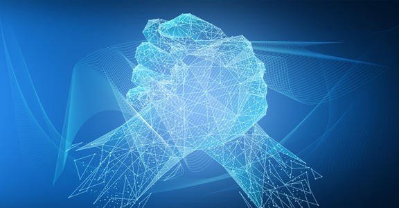 泰木谷是合法的吗？