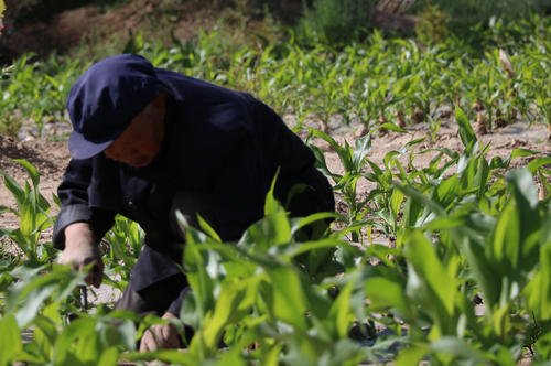 为什么有的人闲不住呢？
