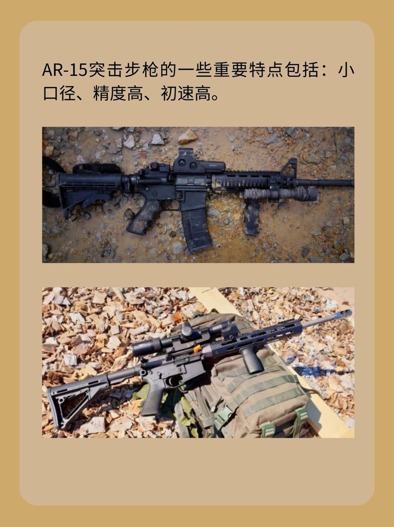 美国AR-15突击步枪