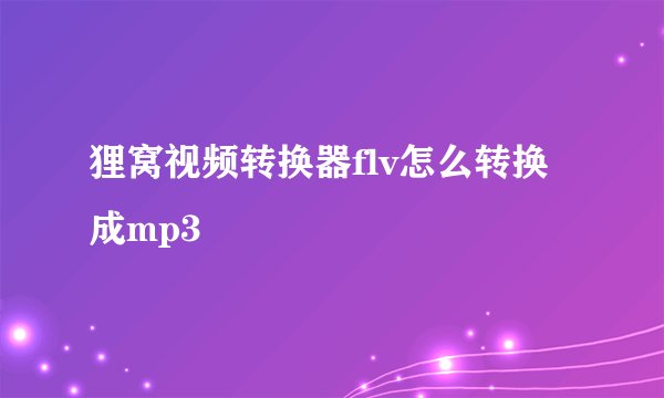 狸窝视频转换器flv怎么转换成mp3