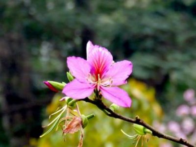 什么从什么怎么写句子？