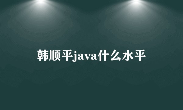 韩顺平java什么水平
