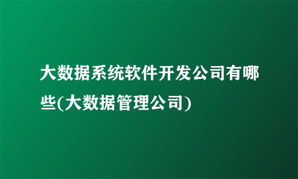 大数据系统软件开发公司有哪些(大数据管理公司)