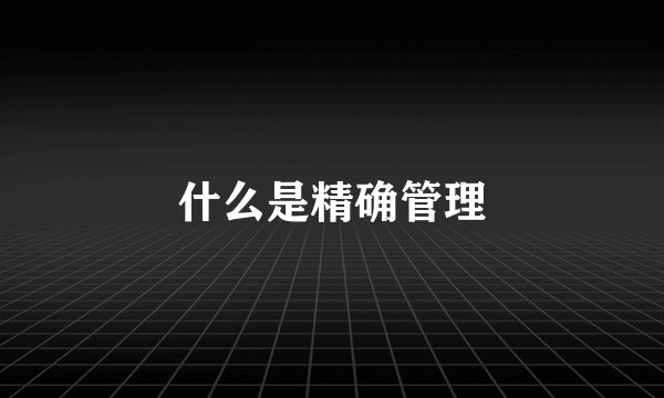 什么是精确管理