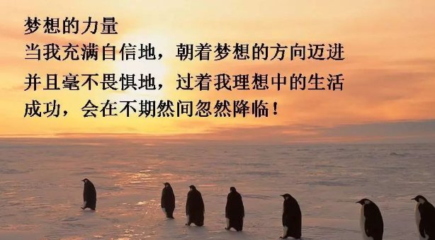 表达因为热爱所以坚持的句子