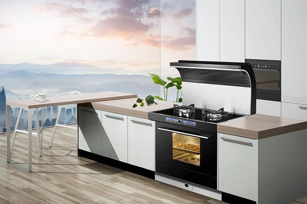 柴火集成灶品牌排行榜