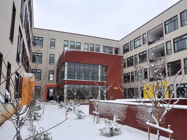 杭州小学排名前十名