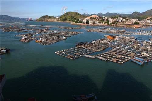 下屿村的下屿概况