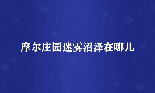 摩尔庄园迷雾沼泽在哪儿