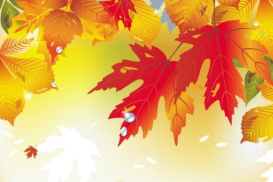 小学生元旦节目小品