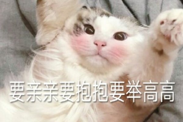 亲亲和抱抱什么意思？