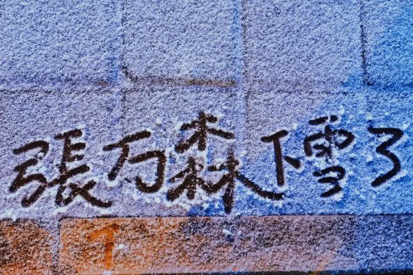 张万生森下雪了什么意思