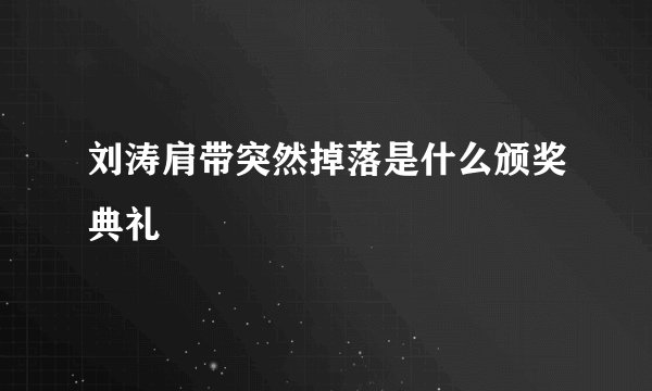 刘涛肩带突然掉落是什么颁奖典礼