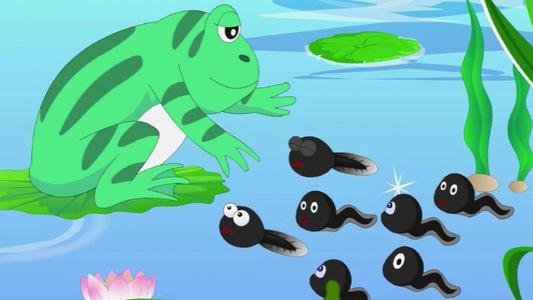 小蝌蚪找到妈妈后会对妈妈说些什么