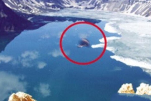 10大最吓人的水怪