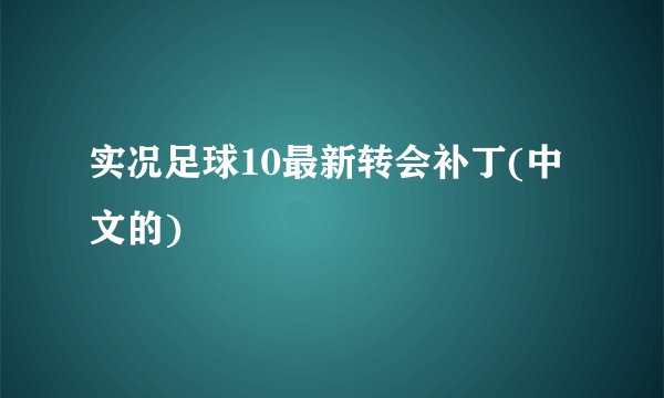 实况足球10最新转会补丁(中文的)