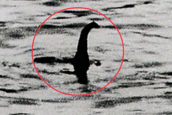 10大最吓人的水怪