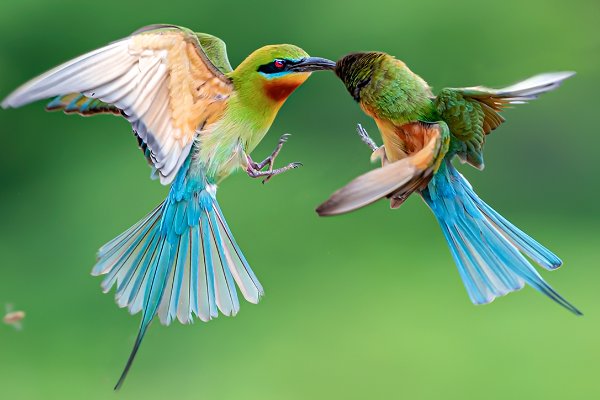 缱绻缠绵的意思