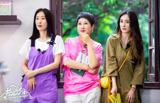 花儿与少年简介