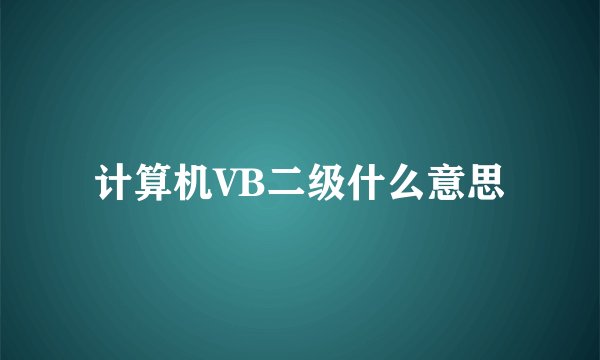 计算机VB二级什么意思