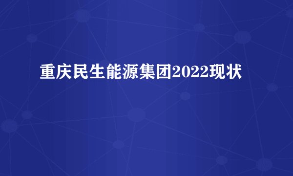 重庆民生能源集团2022现状