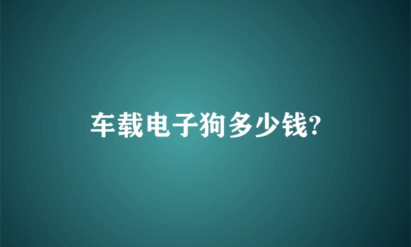 车载电子狗多少钱?