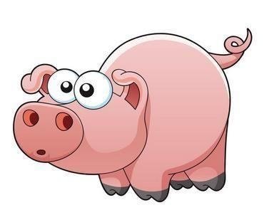 83年属猪女人的一生有几段婚姻