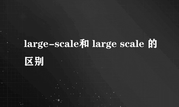 large-scale和 large scale 的区别