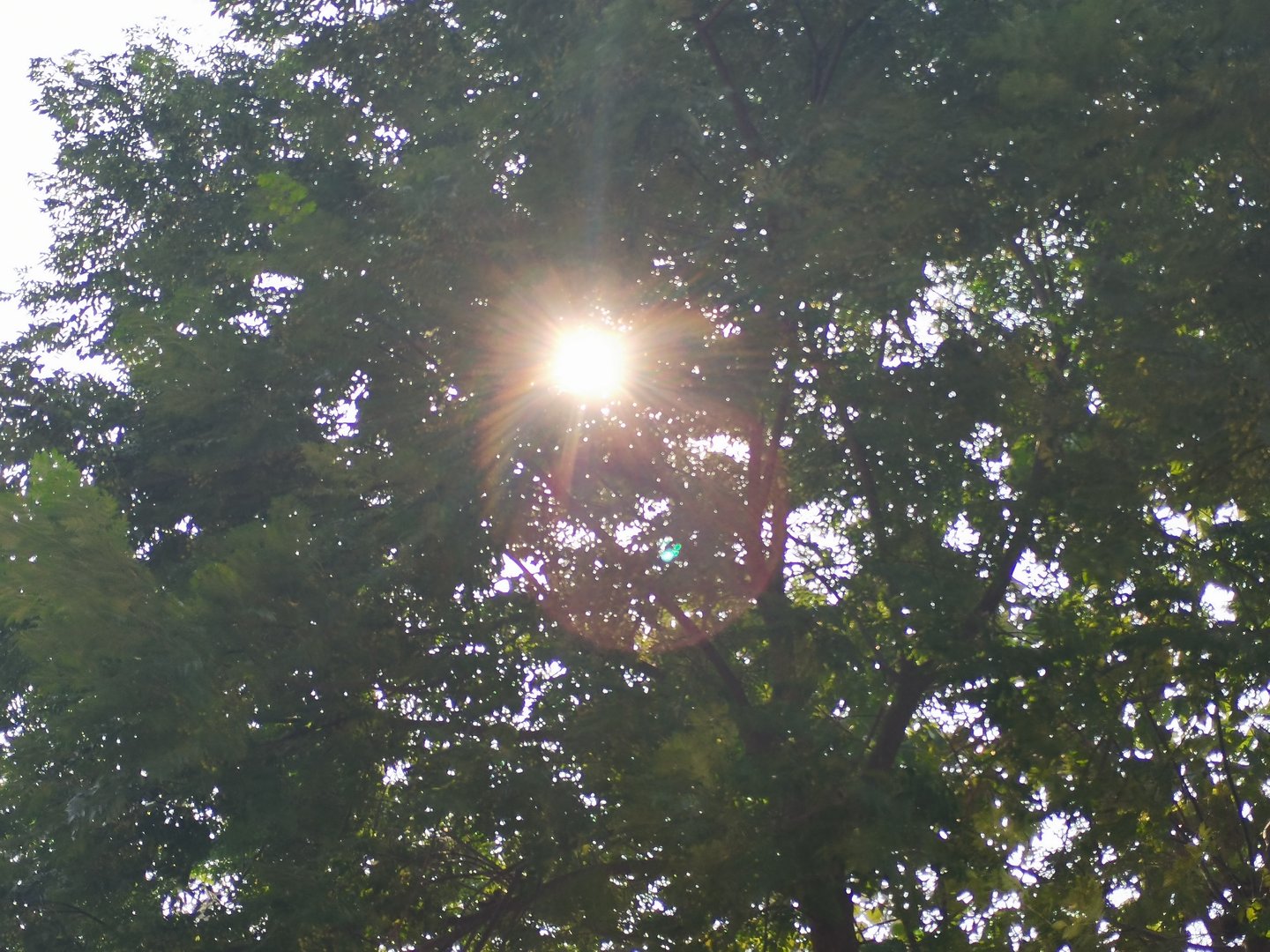 大学生在假期可以做哪些兼职呢？