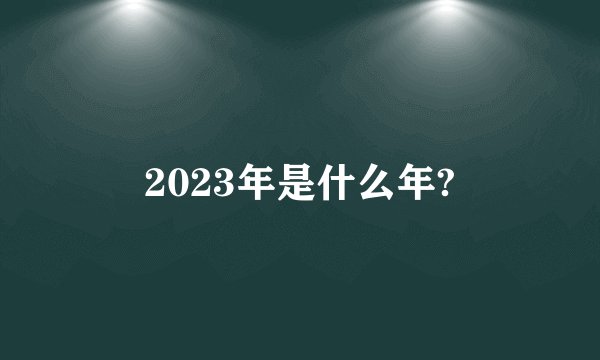 2023年是什么年?