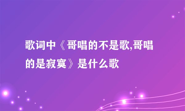 歌词中《哥唱的不是歌,哥唱的是寂寞》是什么歌