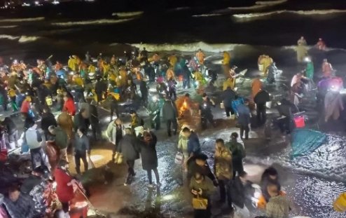 烟台回应市民狂捞的海肠从哪来，环境保护有多重要？