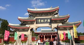 少林寺500多年古碑遭熊孩子刻画，文物保护我们怎么做？