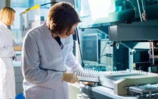 什么是监测，什么是检测？