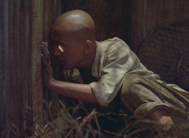 《菊豆》讲了一个怎样的故事？