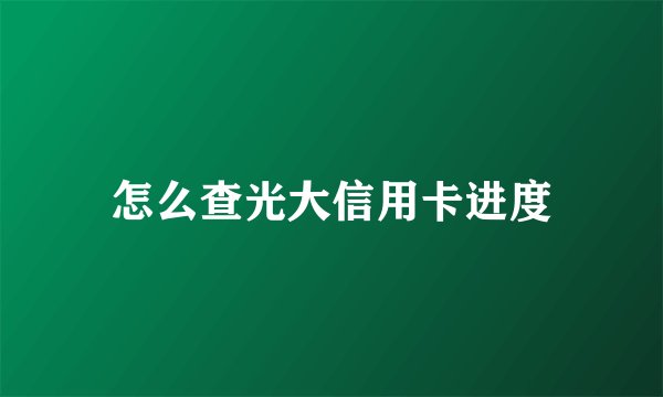 怎么查光大信用卡进度